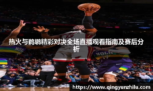 热火与鹈鹕精彩对决全场直播观看指南及赛后分析