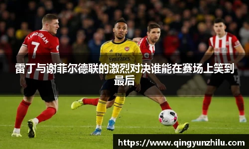 雷丁与谢菲尔德联的激烈对决谁能在赛场上笑到最后
